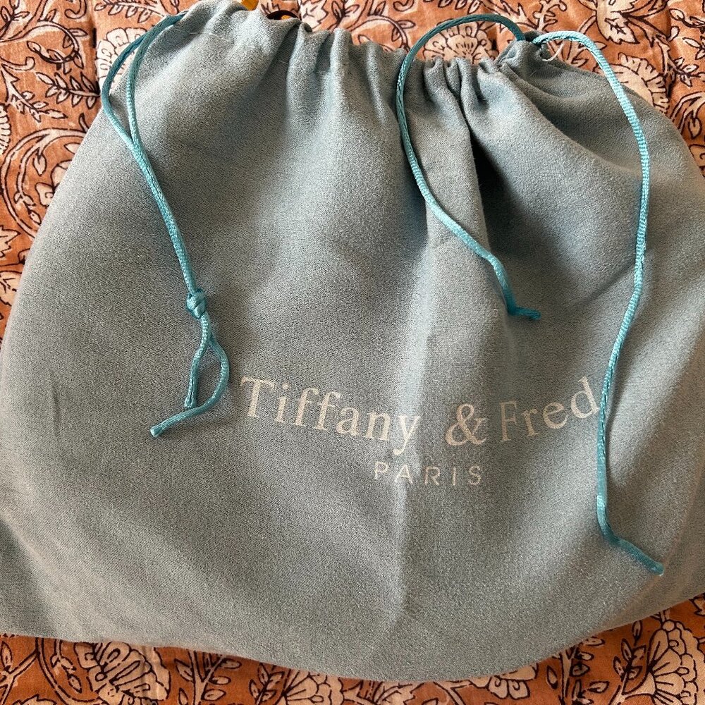 Tiffany & Fred bag